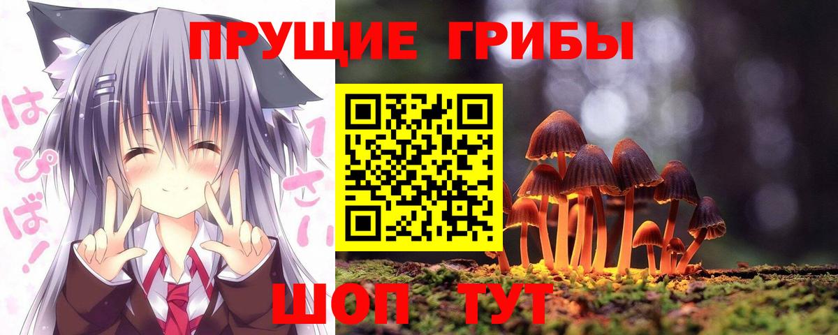 купить наркоту  Галлюциногенные грибы прущие грибы  Вход с VPN  Галлюциногенные грибы Magic Shrooms  Саранск 