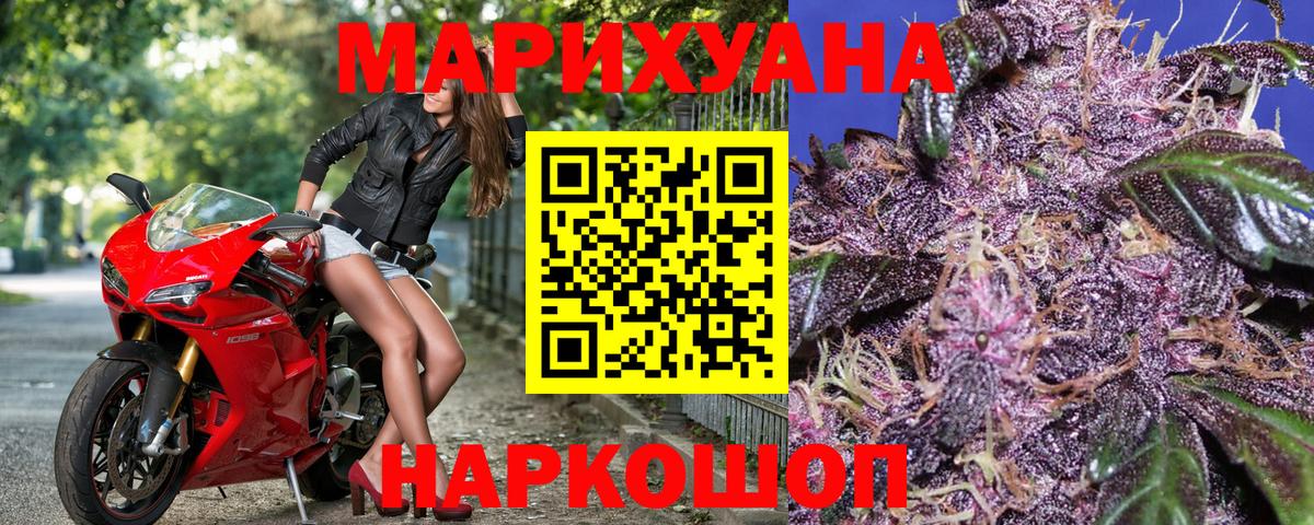 Канабис OG Kush Саранск